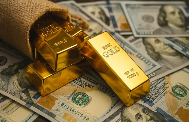 كيف أبدأ استخدام Gooldex؟